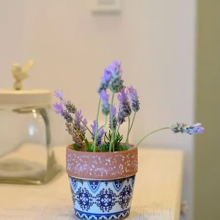 Apartment Sebil Domus *